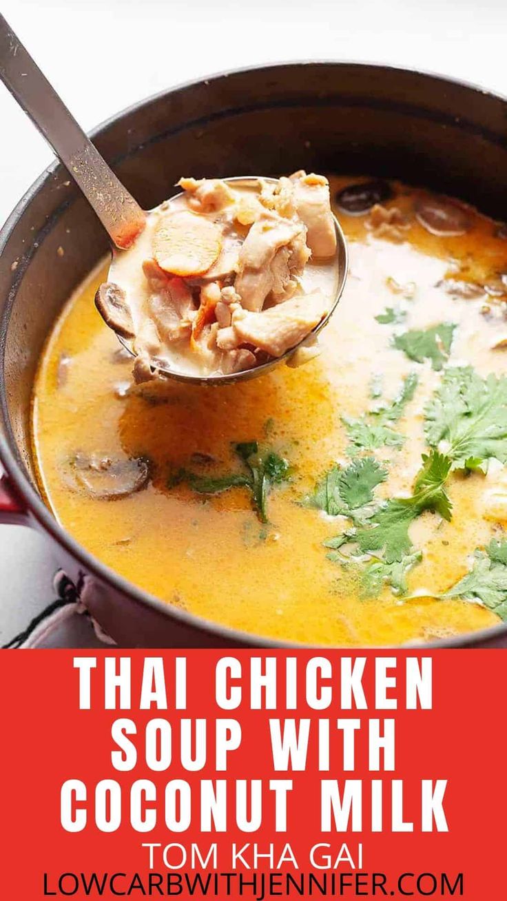 thai chicken soup with coconut milk