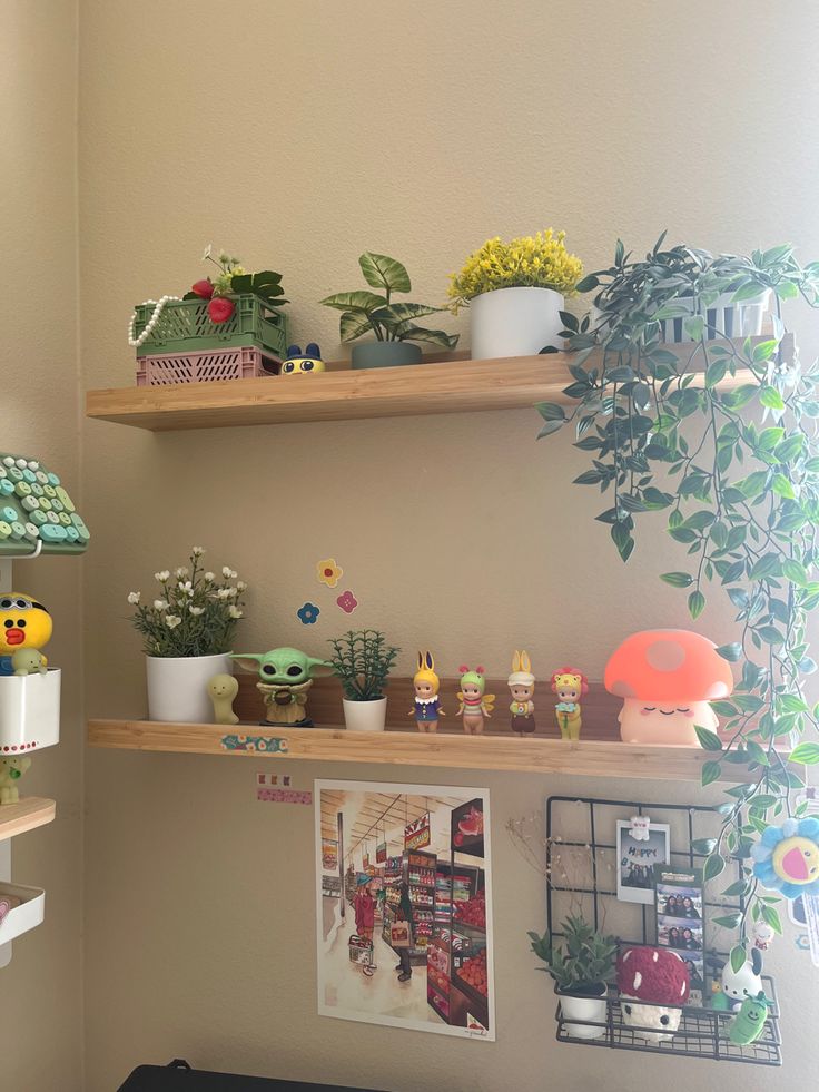 some shelves with plants and pictures on them