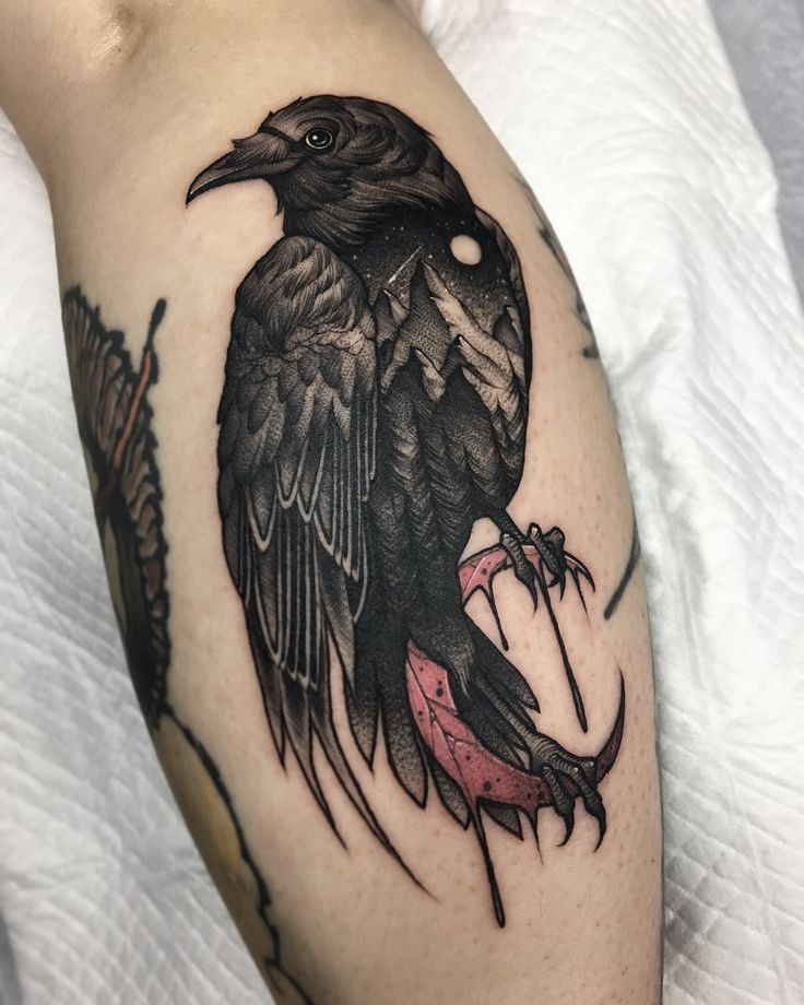 a black bird sitting on top of a person's leg with an arrow in its beak