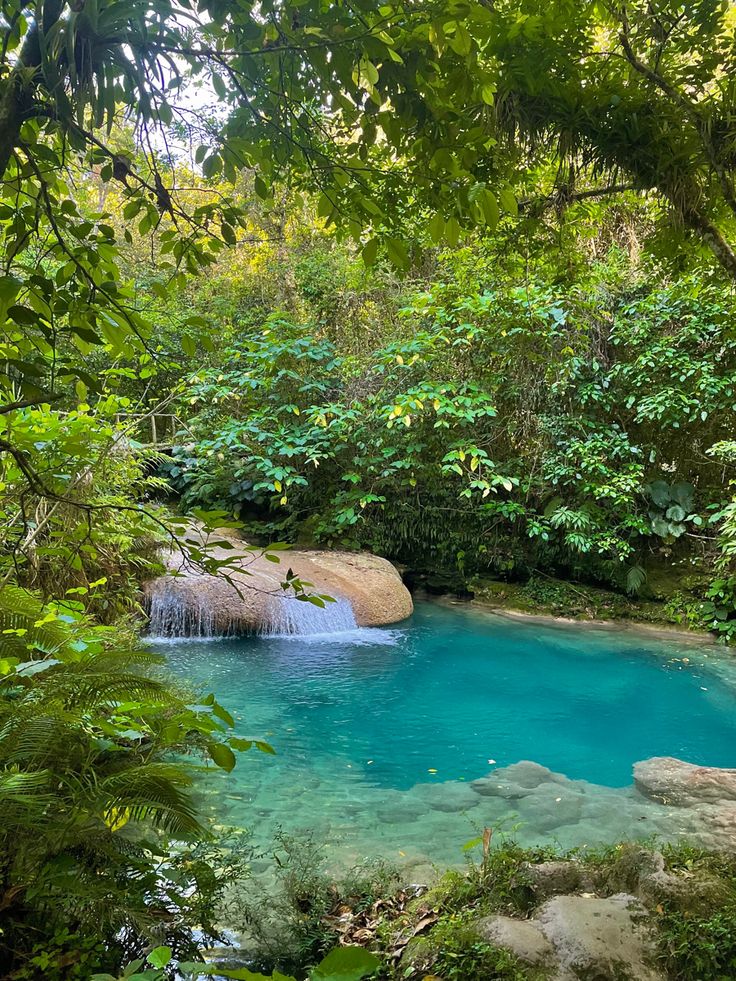 a blue pool surrounded by trees in the middle of a forest with water running down it