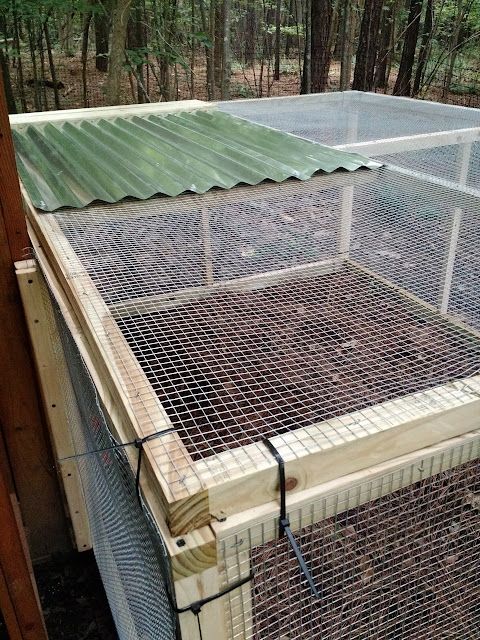 a chicken coop in the middle of a forest