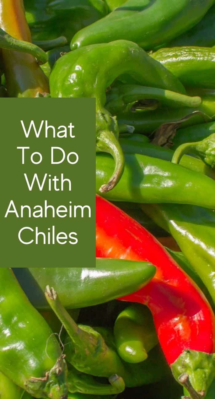 green and red peppers with the words what to do with anaheim chiles