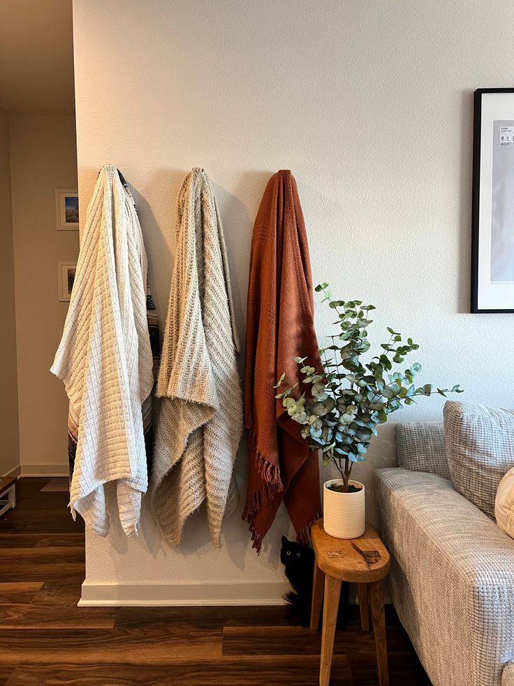 two towels hanging on the wall next to a couch with a potted plant in it