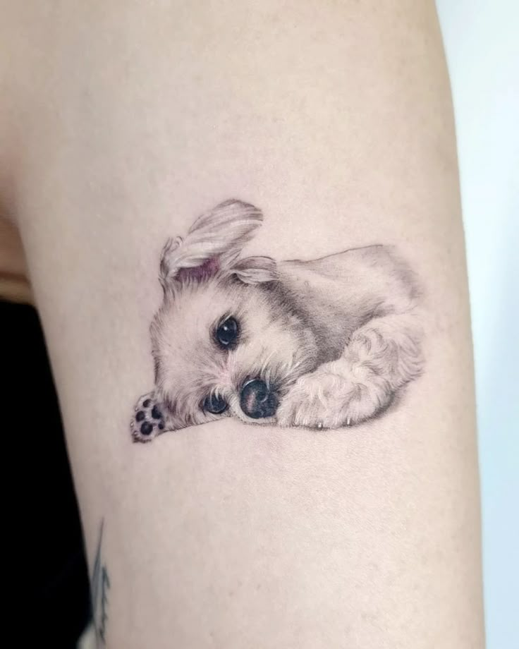 Maltese Dogs Tattoo, Maltese Dog Tattoo Ideas, Pet Tattoos Dog, Tattoo For Dog, Dog Inspired Tattoos, Anjing Maltese, Maltese Tattoo, Pet Tattoo Ideas, Tattoo Pet