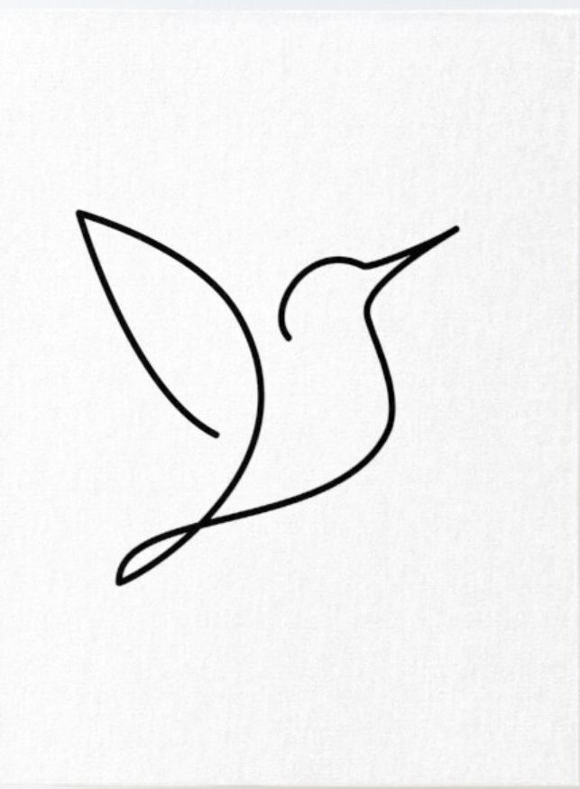 a black and white drawing of a hummingbird on a white paper with the outline of a bird in flight