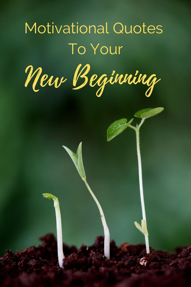 inspirational quotes to help you with your new beginning New Beginning Images, Two Word Quotes, Excited Quotes, Change Is Hard, New Beginning Quotes, Uplifting Messages, New Beginning, New Quotes, Get Excited