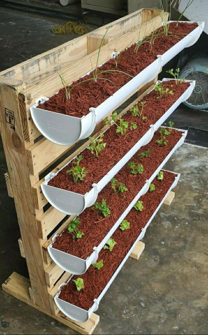 three wooden pallets with plants growing in them