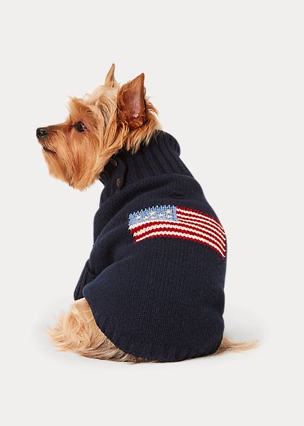 a small dog wearing a sweater with an american flag on the front and back side