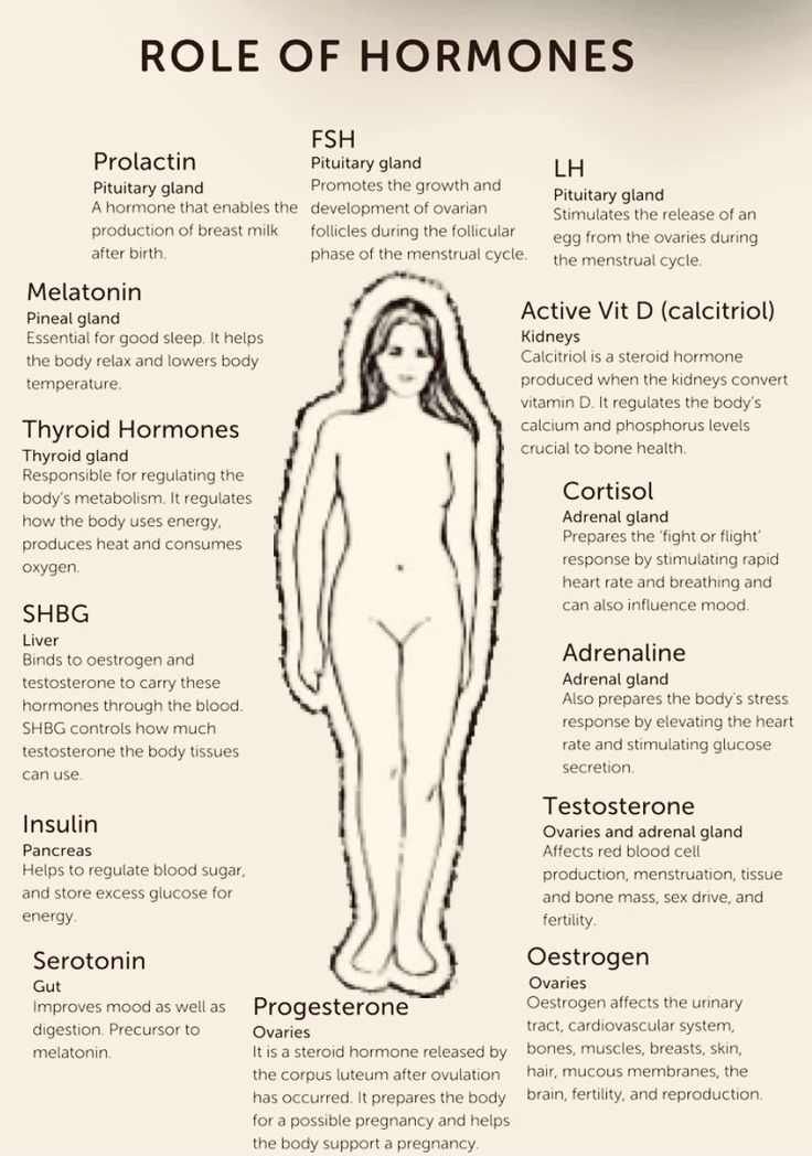 Hormone Nutrition, Nervus Vagus, Female Hormone, Biology Facts, Healthy Hormones, Menstrual Health, Feminine Health, Medical School Essentials, Medical Knowledge