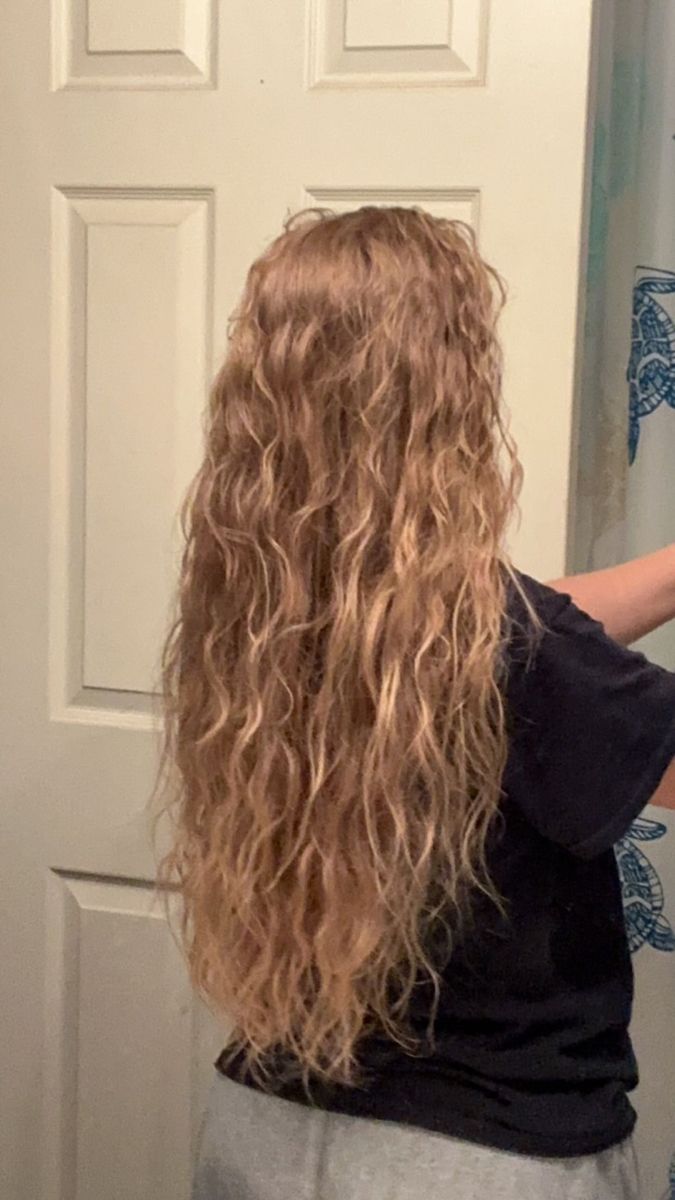 Dark Blonde Wavy Hair Natural, Long Blonde Wavy Hair Natural, Wavy Dirty Blonde Hair, Wavy Blonde Hair Naturally, Dirty Blonde Wavy Hair, Curly Dirty Blonde Hair, Dark Blonde Wavy Hair, Wavy Curly Hair Routine, Dirty Blonde Curly Hair