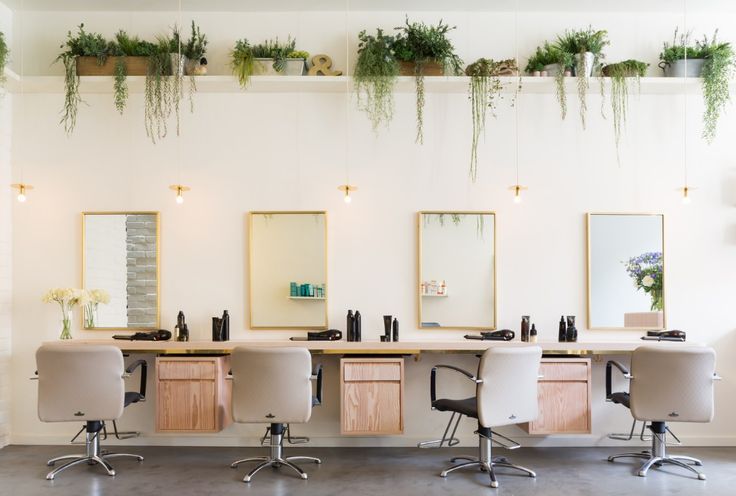 an office with several desks and plants hanging from the wall