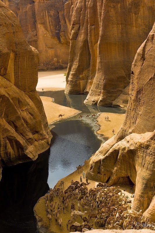 people are standing on the edge of a canyon