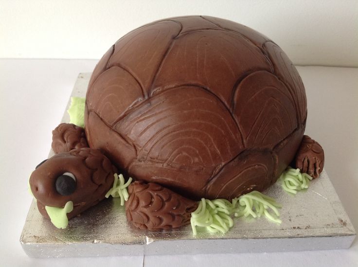 a tortoise shell shaped cake with green icing on a white tablecloth