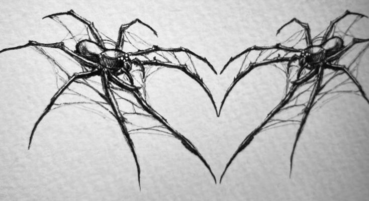 two spider webs in the shape of a heart on a white background with black ink