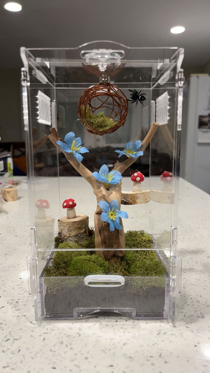 a sculpture made out of wood and glass on top of a white counter with mushrooms