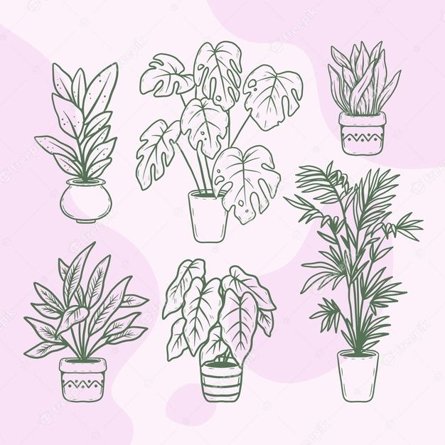 potted house plants on pink background