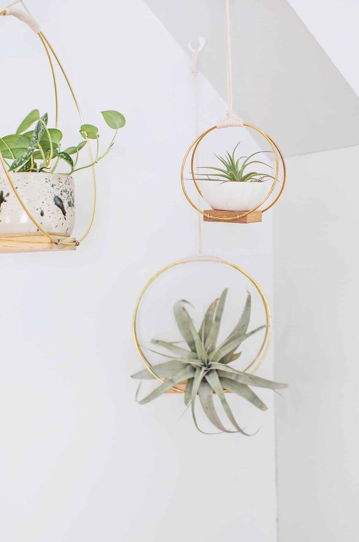 three hanging planters with plants in them on the wall next to a white wall