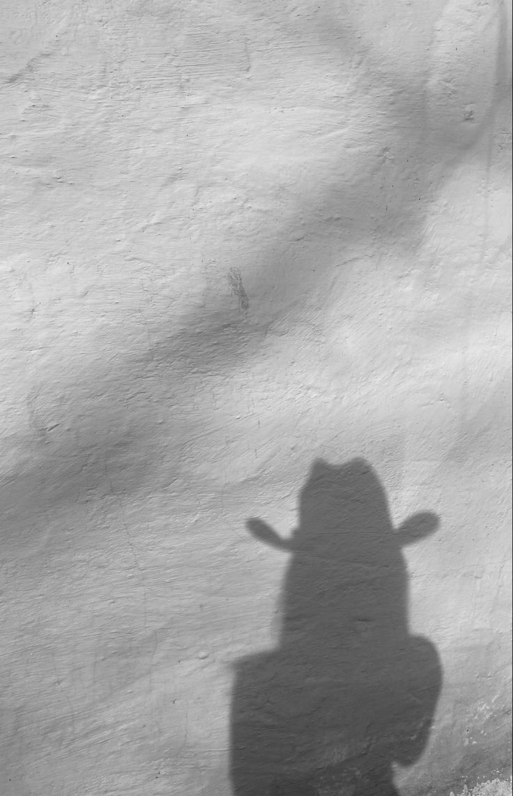 the shadow of a person holding a skateboard in front of a snow covered wall