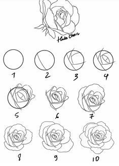 how to draw a rose step by step