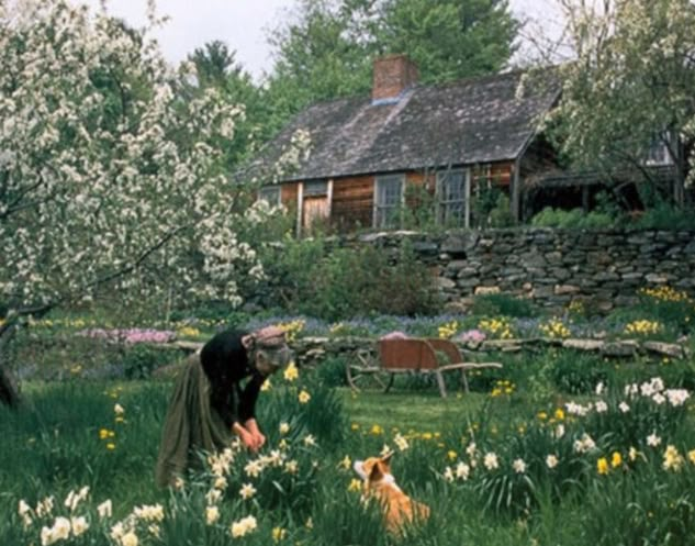 two people in a field with flowers and a dog