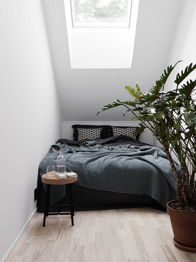 a bed sitting under a window next to a potted plant on top of a wooden floor