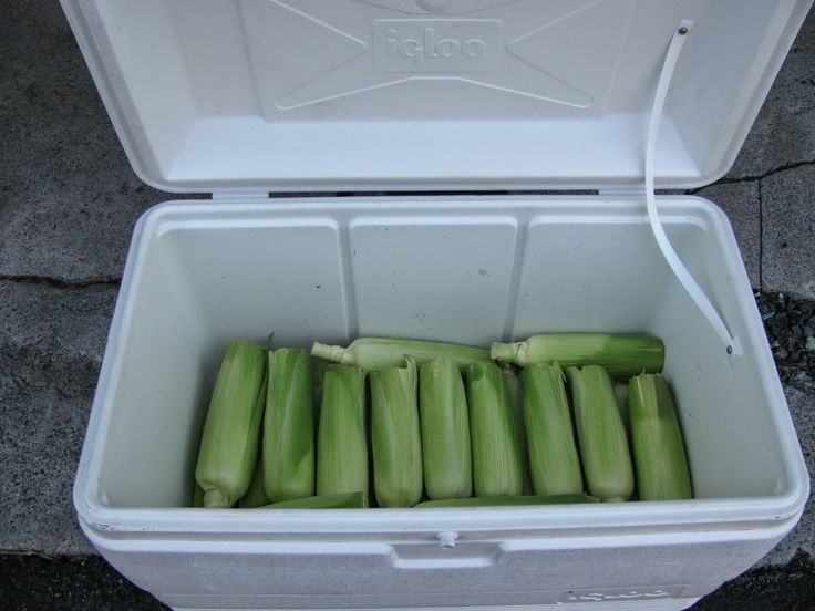 several pieces of celery sitting in a cooler