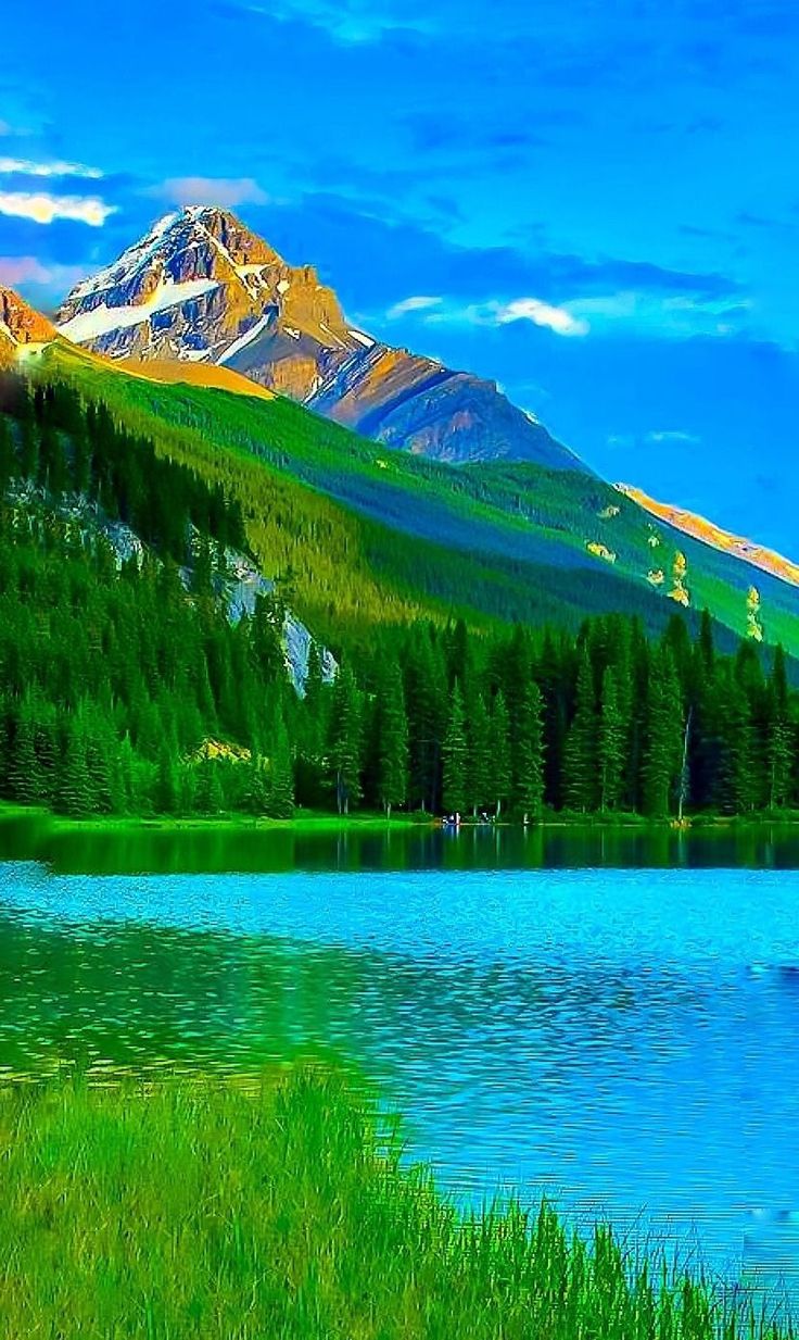 the mountains are covered in snow and green grass near a body of water that is surrounded by tall pine trees