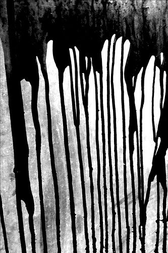 black and white photograph of water dripping over the side of a wall with long, thin sticks sticking out of it