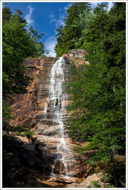 a large waterfall in the middle of a forest