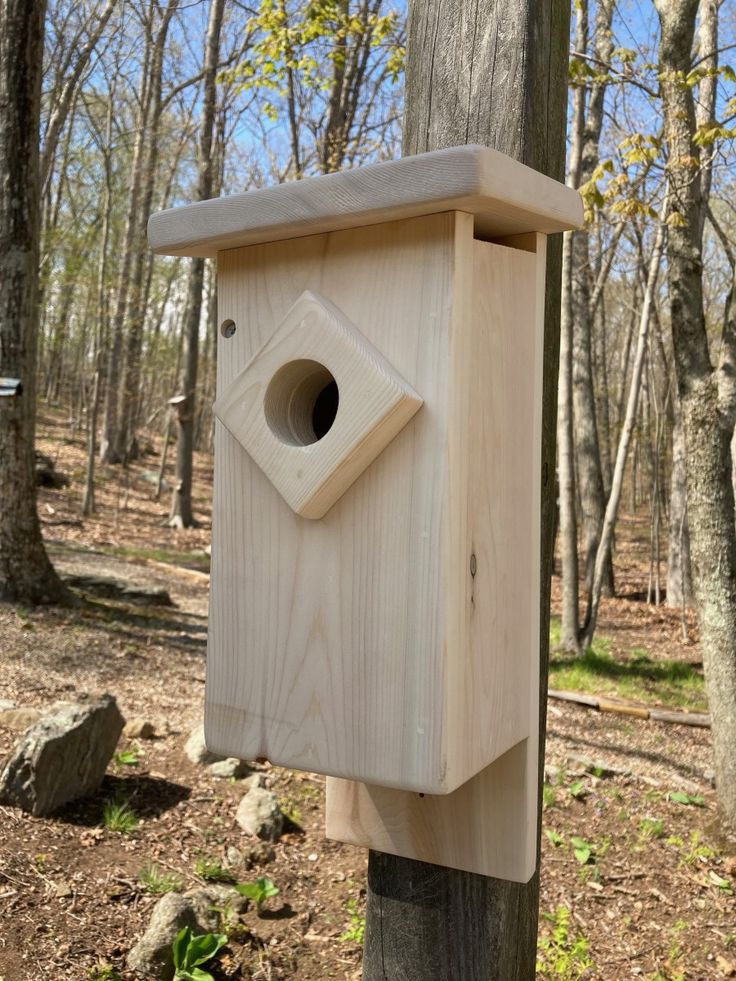 a wooden birdhouse hanging from a tree in the woods