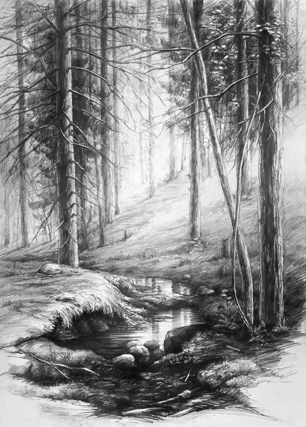 a drawing of a wolf in the woods