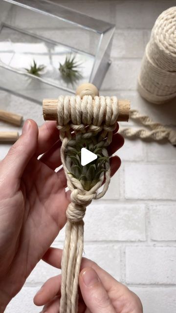 someone holding a rope with some plants in it