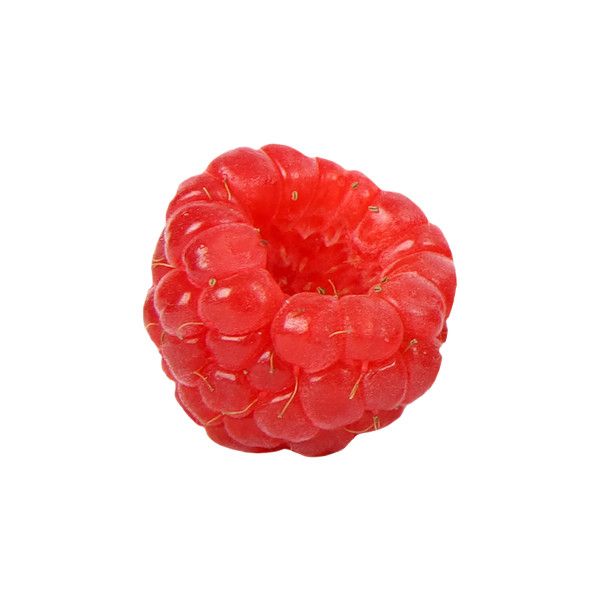 a close up of a raspberry on a white background