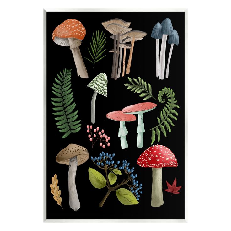 various mushrooms and ferns on a black background with white border around the edges, all in different shapes and sizes