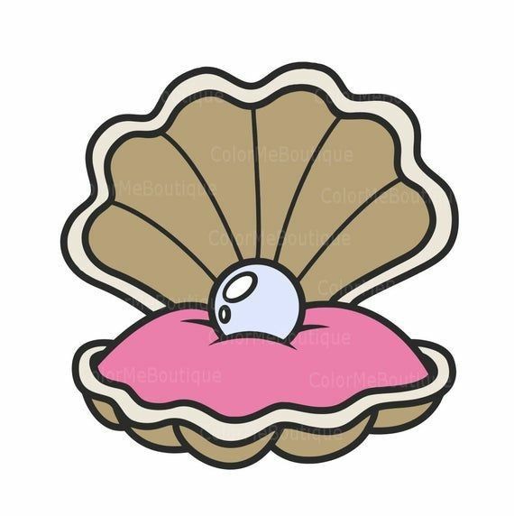 an open shell with a pink substance in it's center on a white background