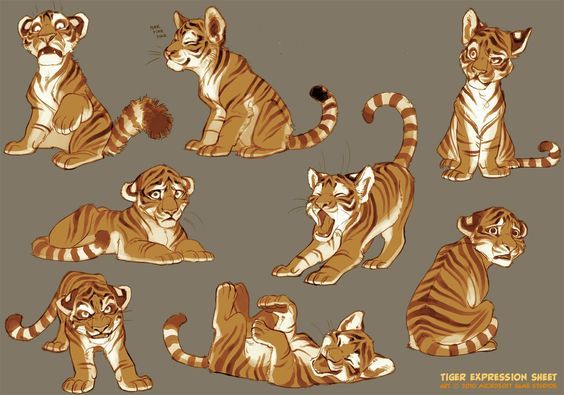 several different types of tigers sitting and laying down