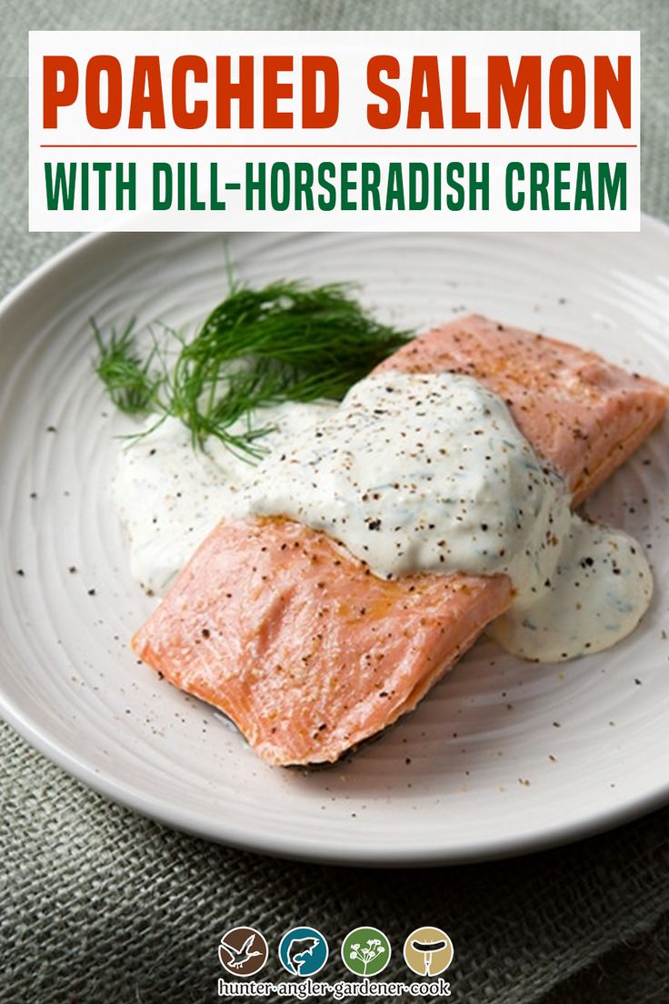 salmon with dill - horseradish cream on a white plate