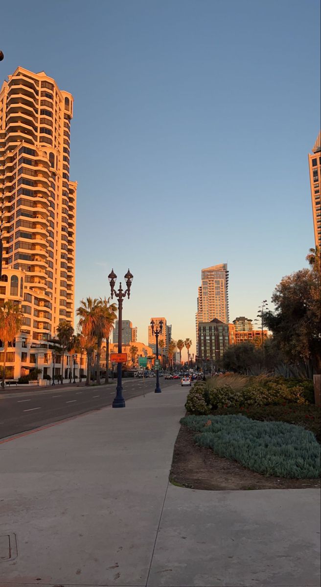 an empty city street with tall buildings on both sides and palm trees in the foreground