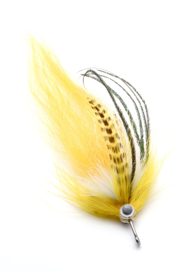 a close up of a yellow and black feathered fly on a white background with clippings