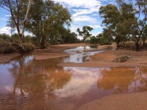 the water is brown in color and it looks to be very shallow enough for people to see