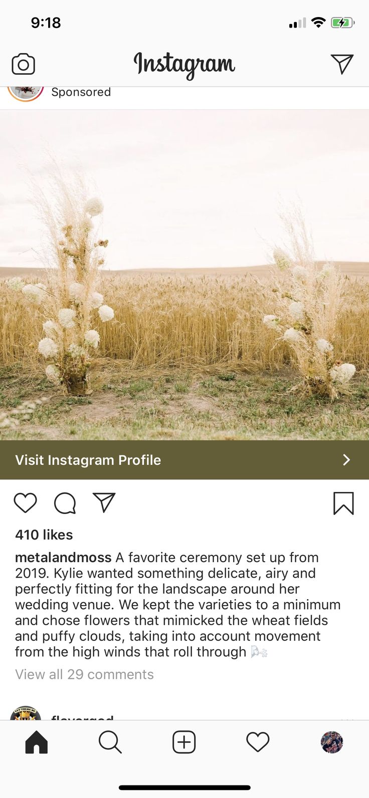 the instagram page on instagram com shows an image of a field with tall grass