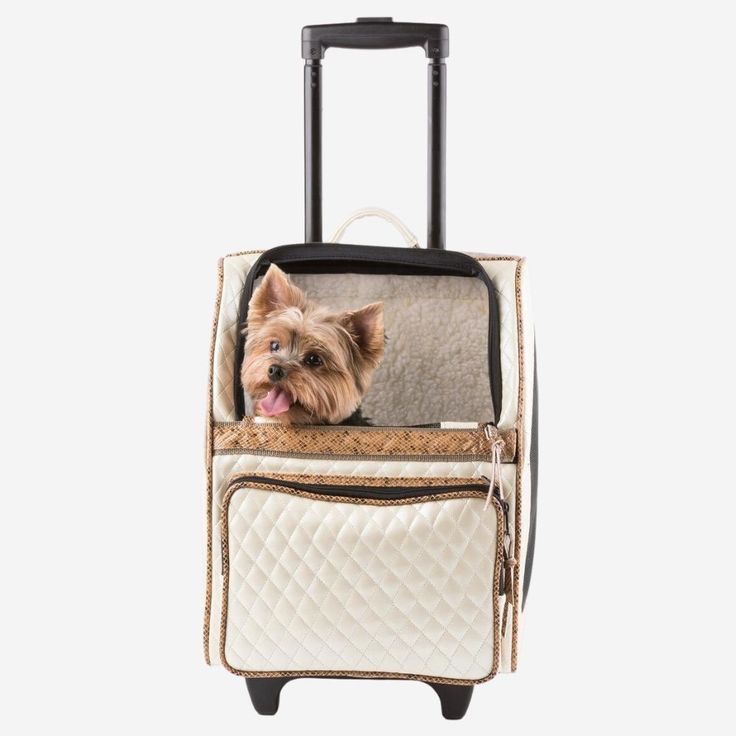 a small dog is sticking its head out of a rolling suitcase that has it's front pocket open