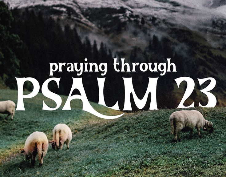 a group of sheep standing on top of a lush green hillside