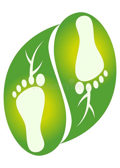 Roots Logo, Green Footprints, Earth Logo, 3d Logo Design, Lord Ganesha Paintings, Foot Print, Baby Drawing, Leaf Logo, Color Psychology