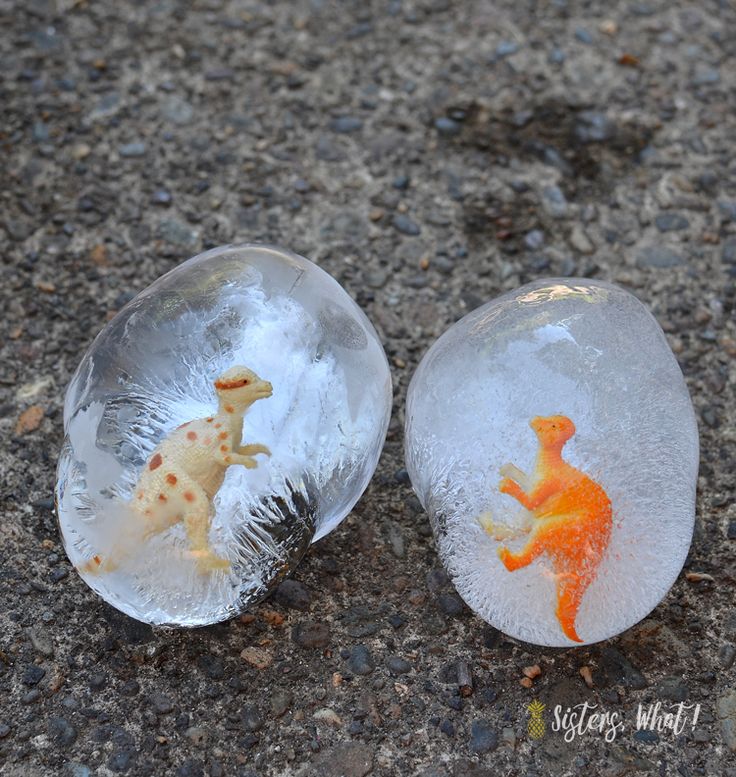 two glass bowls with small orange and white animals in them sitting on the ground next to each other