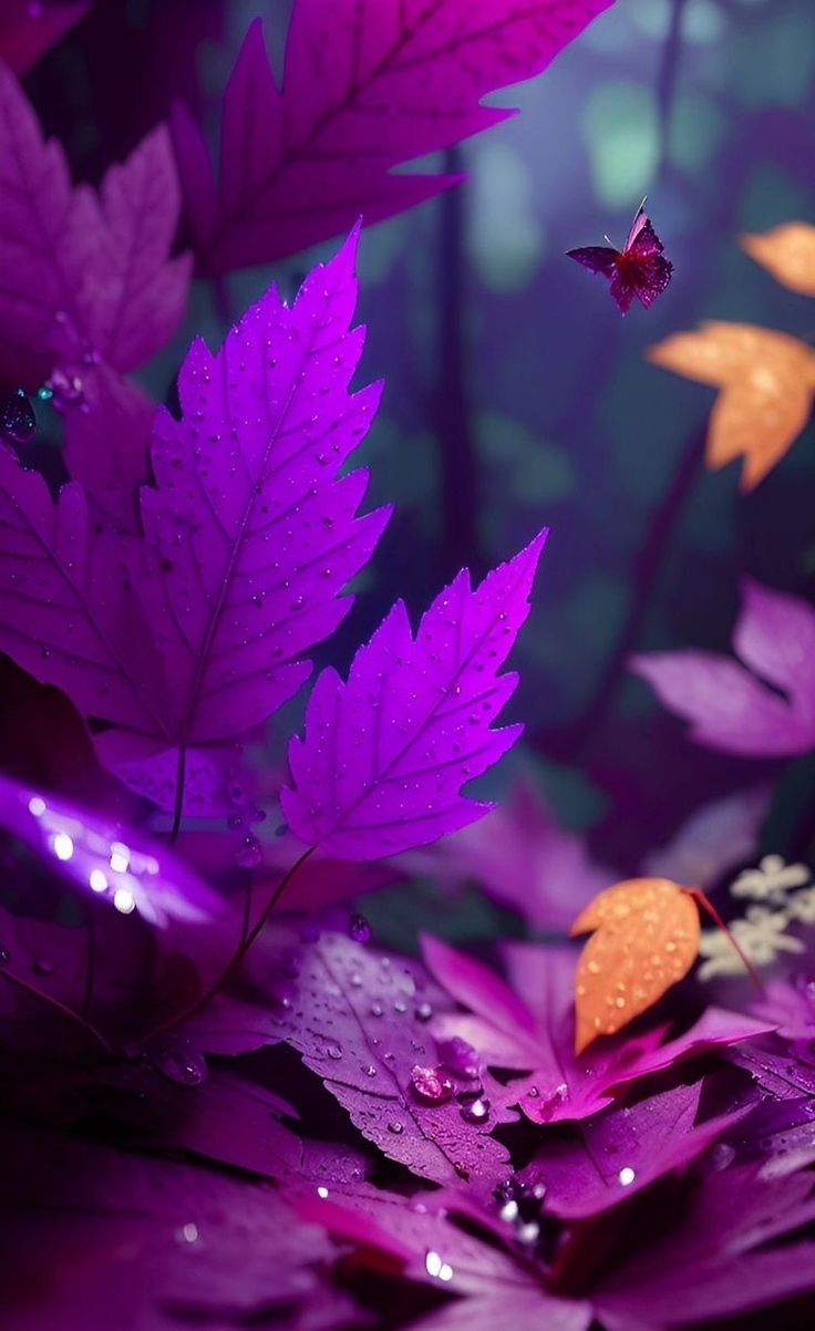 purple leaves with water droplets on them and a butterfly in the air over them,