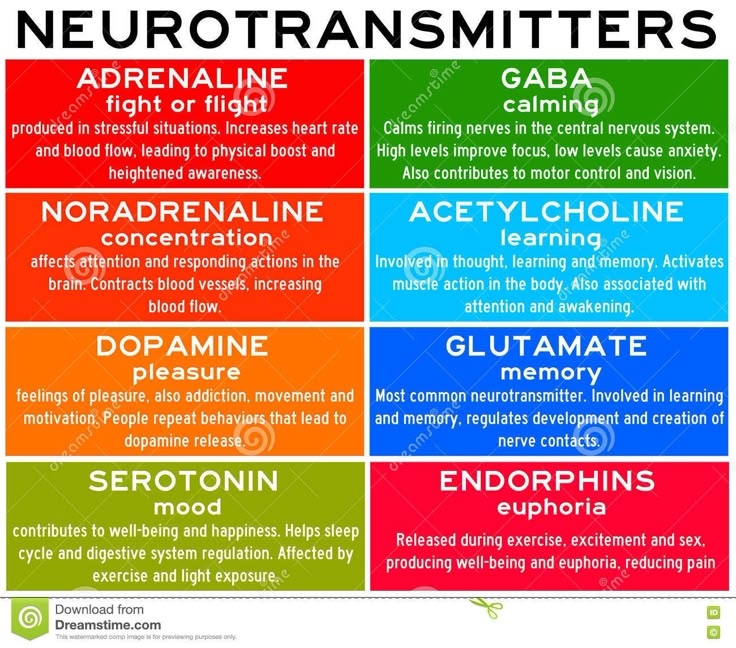 the neurotransmitters poster with different types of neurotans