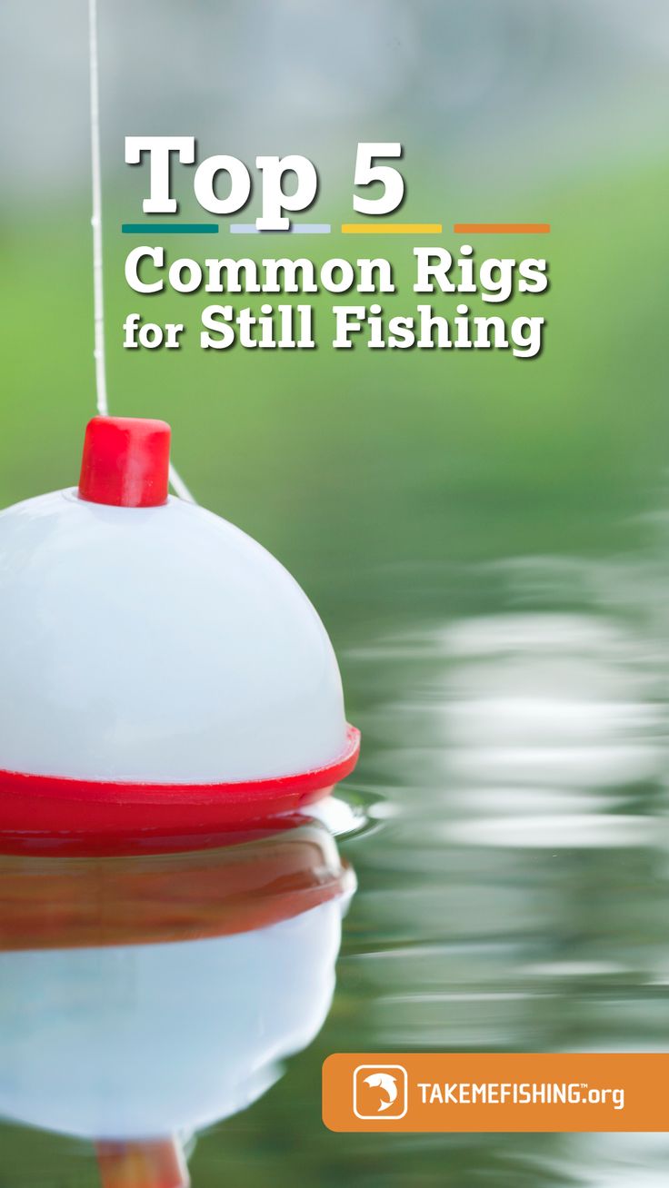 the top 5 common rigs for still fishing is shown in this book cover image