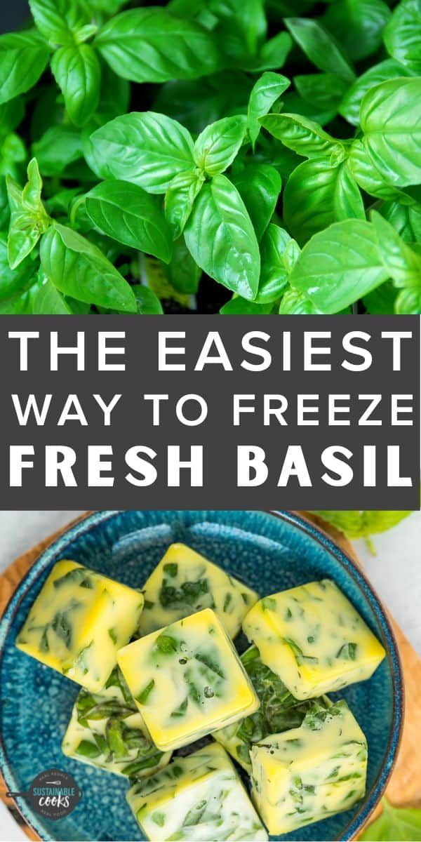 basil and cheese are the best way to freeze fresh basil in this easy, low - carb recipe