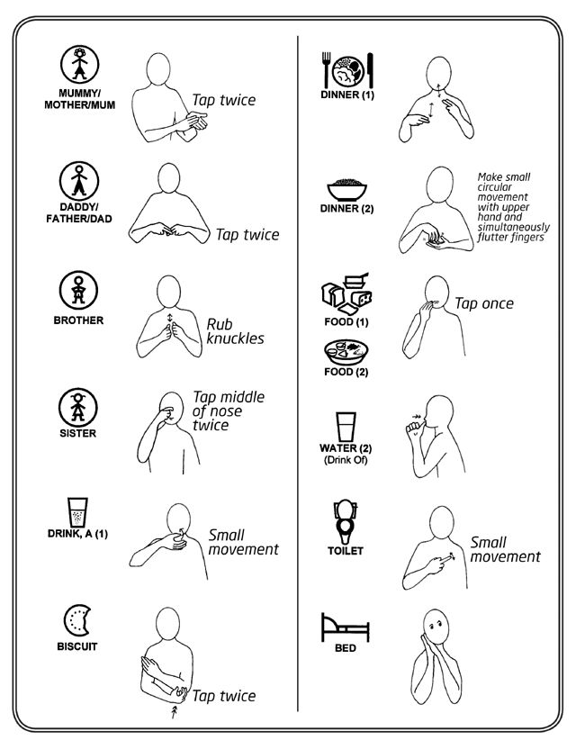 an image of different types of body parts and their functions in the body, with text below